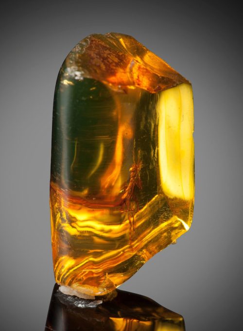 Окаменелый янтарь, в котором находится насекомое. (Courtesy of Heritage Auctions, HA.com) Этому идеально сохранившемуся богомолу в янтаре 30 млн лет