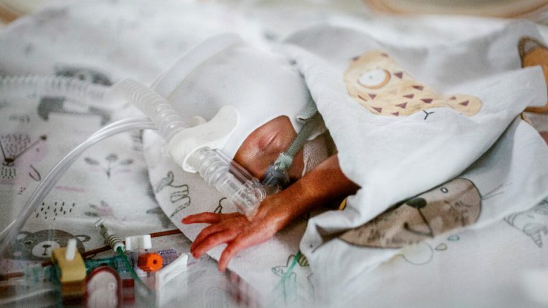 Родители ожидали прибавления в семье, но пополнение превзошло самые смелые ожидания (Karolina Fok/Archive, The University Hospital, Krakow/www.su.krakow.pl via AP)
| Epoch Times Россия
