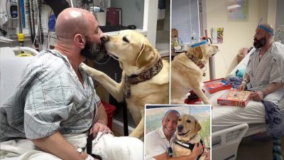 Преданная собака, умеющая «чувствовать людей», помогла владельцу, госпитализированному с серьёзным заболеванием сердца, пройти это испытание