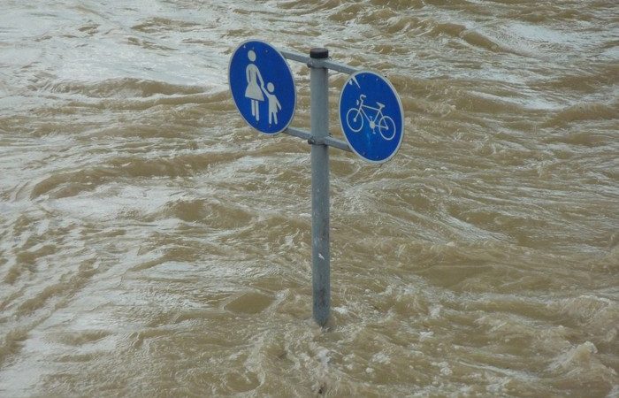 Фото: pxhere.com/СС0