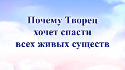 Почему Творец хочет спасти всех живых существ