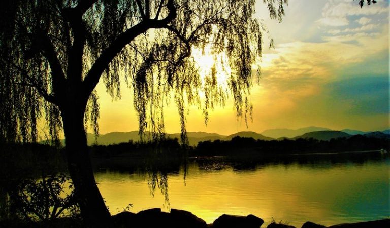 Добрые дела вознаграждаются, поэтому сердце всегда должно быть добрым и милосердным. (Фото: Shiva Kesch via Dreamstime)
 | Epoch Times Россия