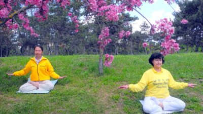 Всемирный День Фалунь Дафа в Крыму отпраздновали в дни цветения глицинии (видео)