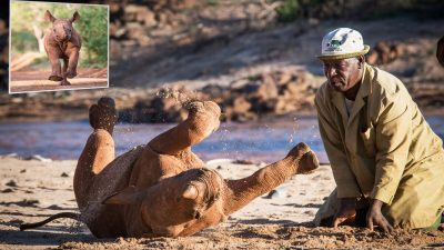 (© Sheldrick Wildlife Trust / Mia Collis)