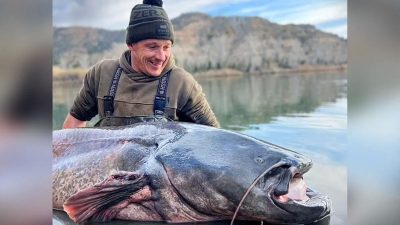 Зимняя рыбалка обернулась для мужчины битвой со 100-килограммовым сомом