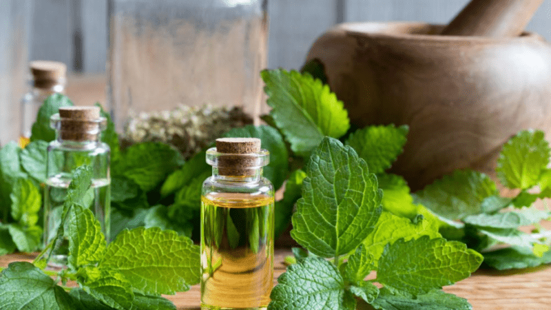 Эрика Куо, преподаватель травяной ароматерапии, сказала, что клиническое лечение травами лечит симптомы человеческого тела с целостной точки зрения и может помочь людям, страдающим бессонницей, заснуть. (Madeleine Steinbach/Shutterstock) | Epoch Times Россия