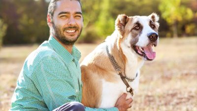 Несколько способов снять у собаки тревогу, связанную с разлукой
