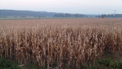 Режим ЧС введён в 9 районах Новосибирской области