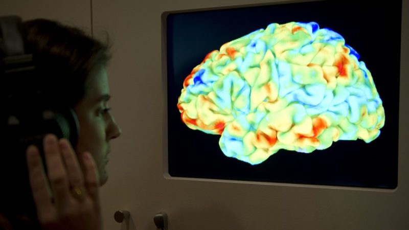Умный мозг медленнее обрабатывает сложную информацию: исследование Функциональное магнитно-резонансное изображение (ФМРТ), показывающее влияние «Весны священной» (балет) Стравинского и «3-й критики» Канта на мозг человека, во время новой крупной выставки «Мозг: разум материи» в Wellcome Collection в Лондоне 27 марта 2012 года. (Miguel Medina/AFP/Getty Images)