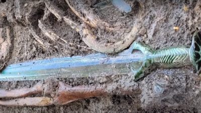 В Германии нашли бронзовый меч возрастом 3000 лет