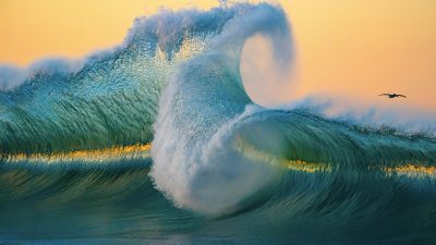 Великолепные снимки гигантских волн показывают мощь океана и бесстрашие фотографа-сёрфингиста