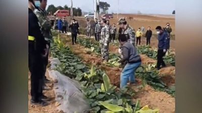 «От леса к сельскохозяйственным угодьям» означает возвращение Китая к плановой экономике