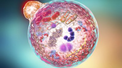 О великолепном целительном эффекте голодания