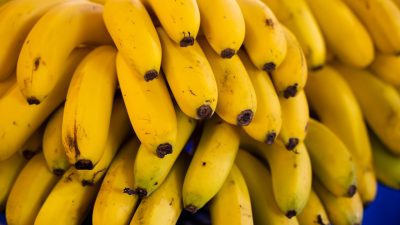 В порту Санкт-Петербурга таможенники нашли в рефрижераторе с бананами 50 кг кокаина