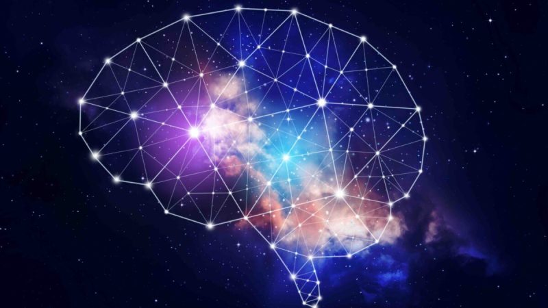 Мозг подобен микрокосмосу. (nednapa/Shutterstock) | Epoch Times Россия