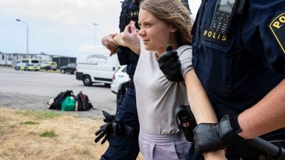 Вместо тюремного заключения Грета Тунберг отделалась штрафом