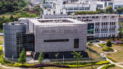 Правительство США приостановило финансирование Уханьской лаборатории из-за рискованных экспериментов