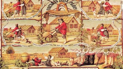 Посадил дед репку, да «ноги» подвели!