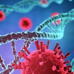 ДНК обезьяньего вируса нашли в вакцинах от COVID-19