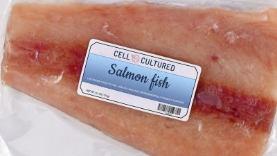 Из лаборатории на тарелку: будущее клеточных морепродуктов