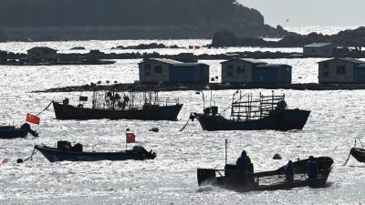 Тайваньские профессиональные группы протестуют против соглашения о торговле услугами с коммунистическим Китаем