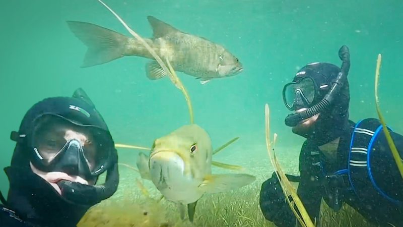 (Screenshot/Newsflare) | Epoch Times Россия