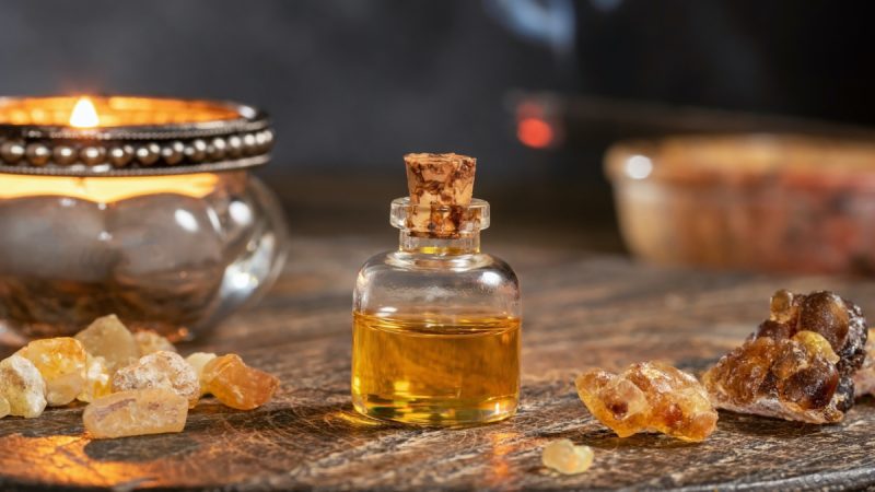 (Madeleine Steinbach/Shutterstock) | Epoch Times Россия