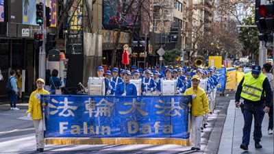 Узнице совести в Китае объяснили, что она «вносит вклад» в программу по изъятию органов