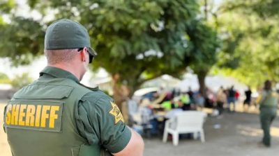 Десятки проданных в рабство мигрантов спасены в Калифорнии с плантации марихуаны