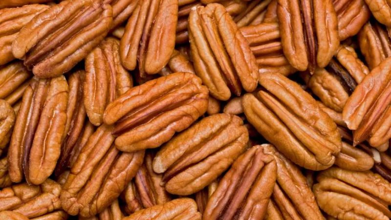 Орехипекан. (Shutterstock/GlennPrice) | Epoch Times Россия