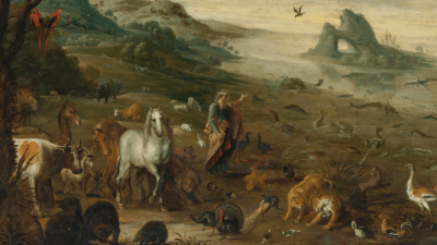 Создание смысла и красоты: «Бытие»