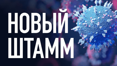 FDA позволило применение ивермектина