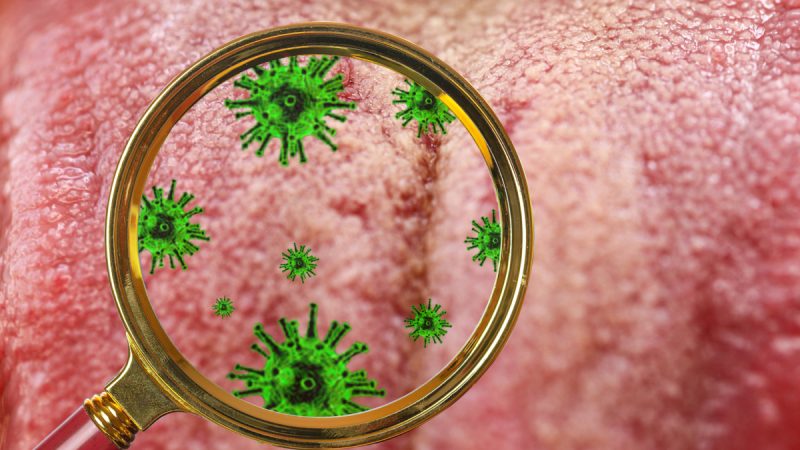 (evgenii mitroshin/Shutterstock) | Epoch Times Россия