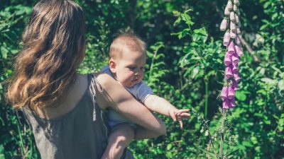 Ядовитые растения в вашем саду