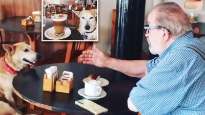 В аргентинском кафе собака составляет компанию посетителям