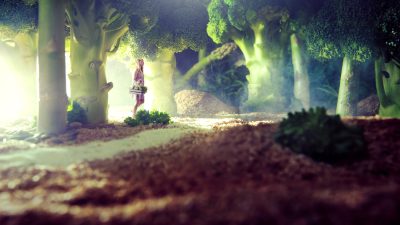 Обретение мира и процветания с помощью пермакультуры