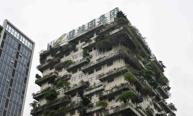 Штаб-квартира китайского девелопера Country Garden Holdings в Фошане, в южной провинции Гуандун, 15 июня 2023 года. (STR/AFP via Getty Images)
 | Epoch Times Россия