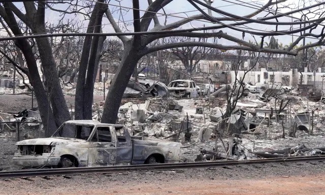Фотообзор разрушенного пожаром гавайского города Лахайна Сожжённые транспортные средства выстроились по периметру жилого района в Лахайне, Мауи, 16 августа 2023 года. (Allan Stein/The Epoch Times) | Epoch Times Россия