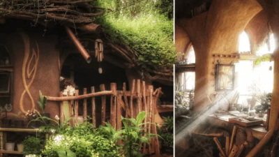 Поклонники Толкиена построили для себя «дом хоббита» в лесу