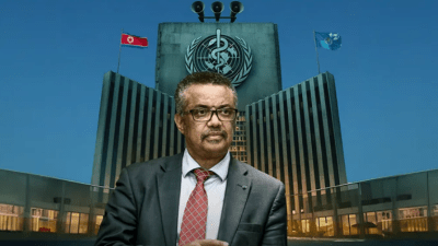 Цензура, цифровая слежка и Северная Корея в Исполнительном комитете ВОЗ