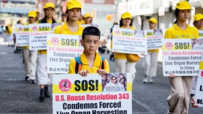 НПО выражают обеспокоенность «пассивным соучастием» Южной Кореи в насильственном изъятии органов в Китае