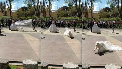 Озорная собака украла фату невесты, прыгнув на неё во время свадебной фотосессии