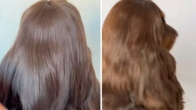 На первый взгляд, эта собака похожа на ребёнка с шелковистыми длинными волосами