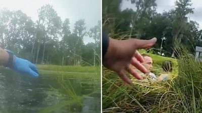 Помощники шерифа Флориды спасли ребёнка с невербальным аутизмом из пруда, кишащего змеями