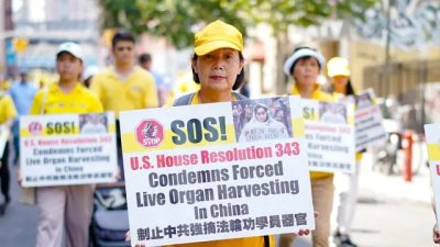 Американский сайт подвергся кибератаке после публикации свидетельств о насильственном изъятии органов в Китае