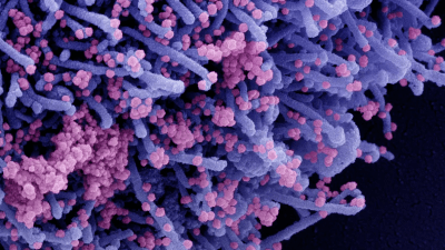 Доктор Маккалоу о технологии мРНК: Мы не можем заставить человеческий организм принять чужеродный генетический код