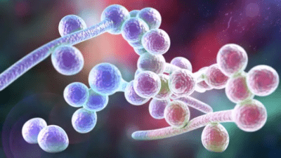 Есть ли связь между грибковыми инфекциями и развитием рака?