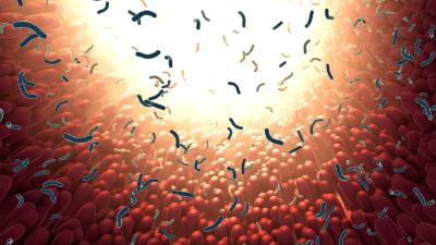 Как вакцина от COVID может нанести вред кишечнику