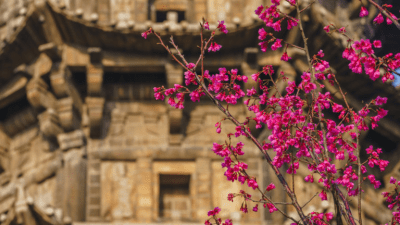 Китайская история: Мужун Яньчао перехитрил мошенника