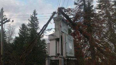 Более 400 населённых пунктов в Удмуртии остались без света из-за ветра